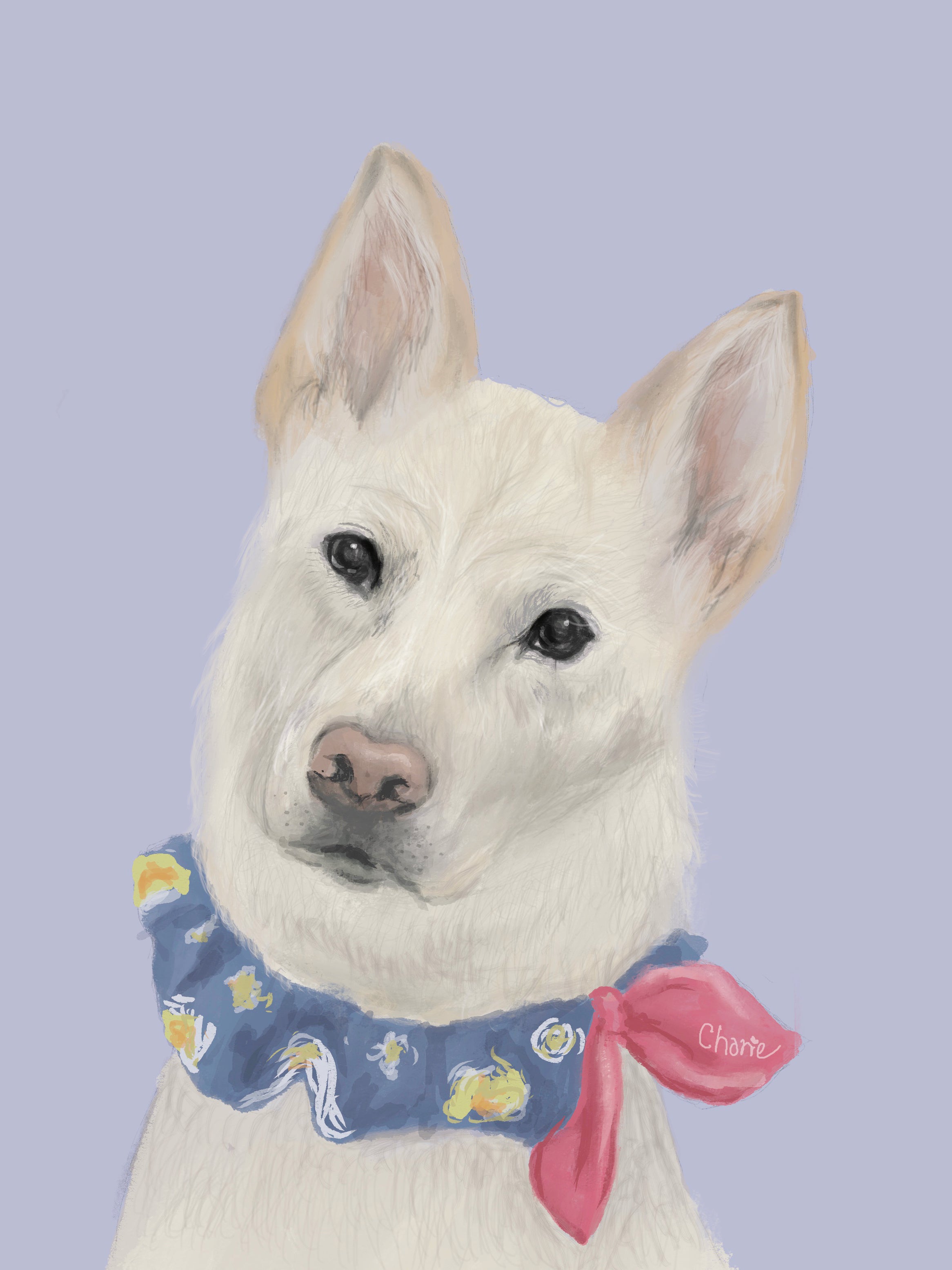 Bespoke Hand-Drawn Pet Portrait - Canvas Bag - Two Pets