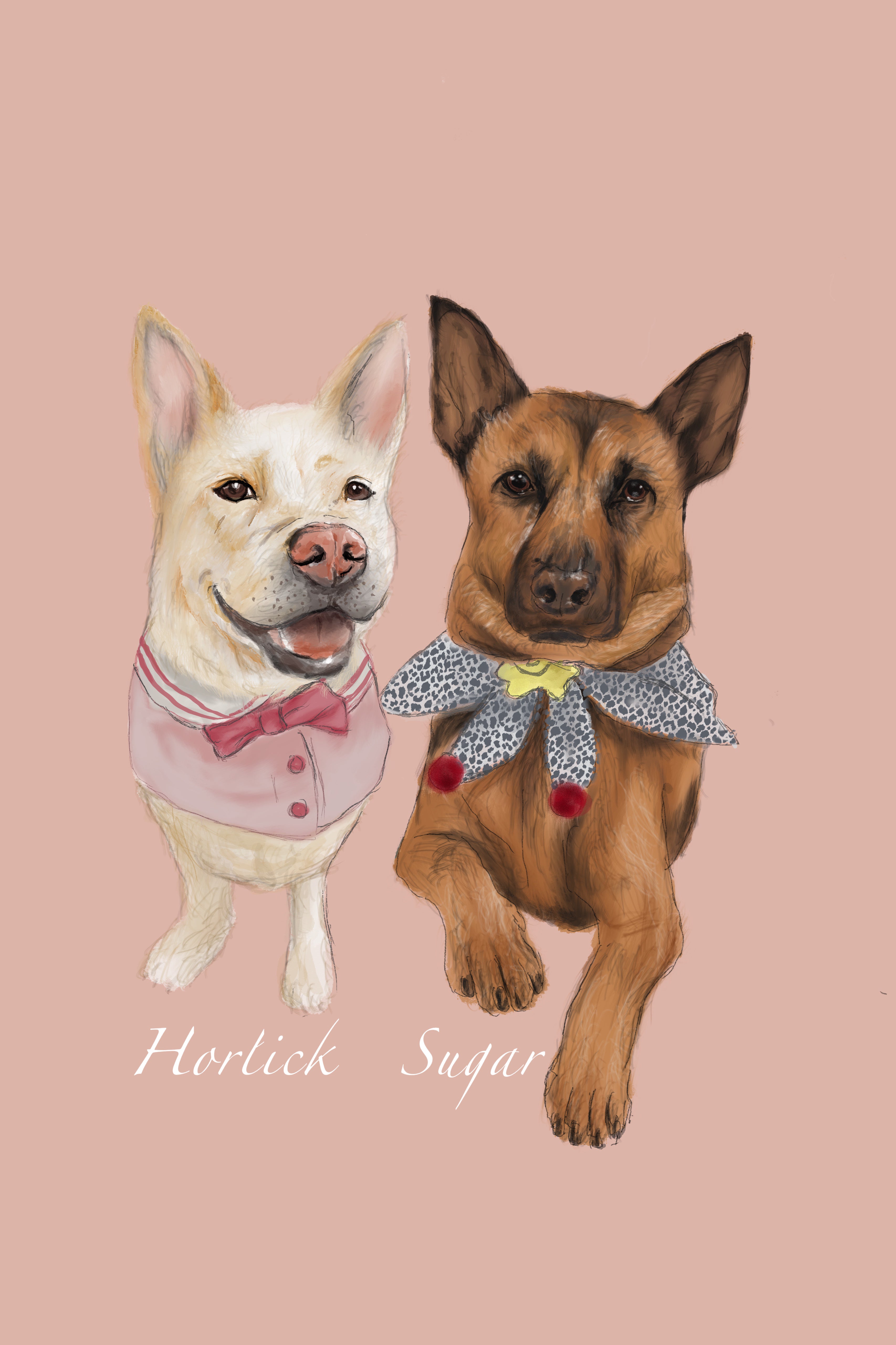 Bespoke Hand-Drawn Pet Portrait - Canvas Bag - Two Pets