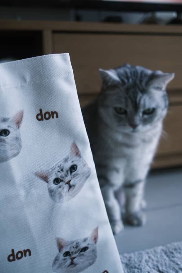 Bespoke Hand-Drawn Pet Big Head- Canvas Bag - Two Pets