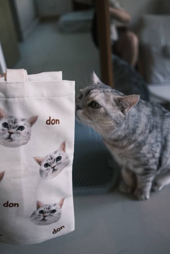 Bespoke Hand-Drawn Pet Big Head- Canvas Bag - Two Pets