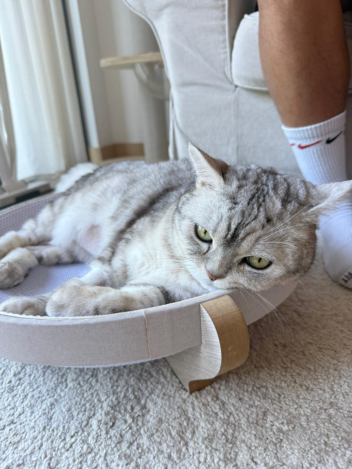 Bespoke Hand-Drawn Pet Big Head- Canvas Bag - One Pet